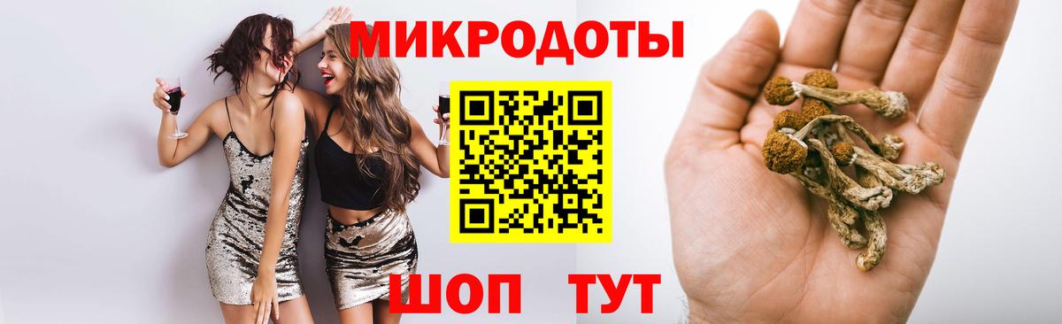 Псилоцибиновые грибы прущие грибы Баксан